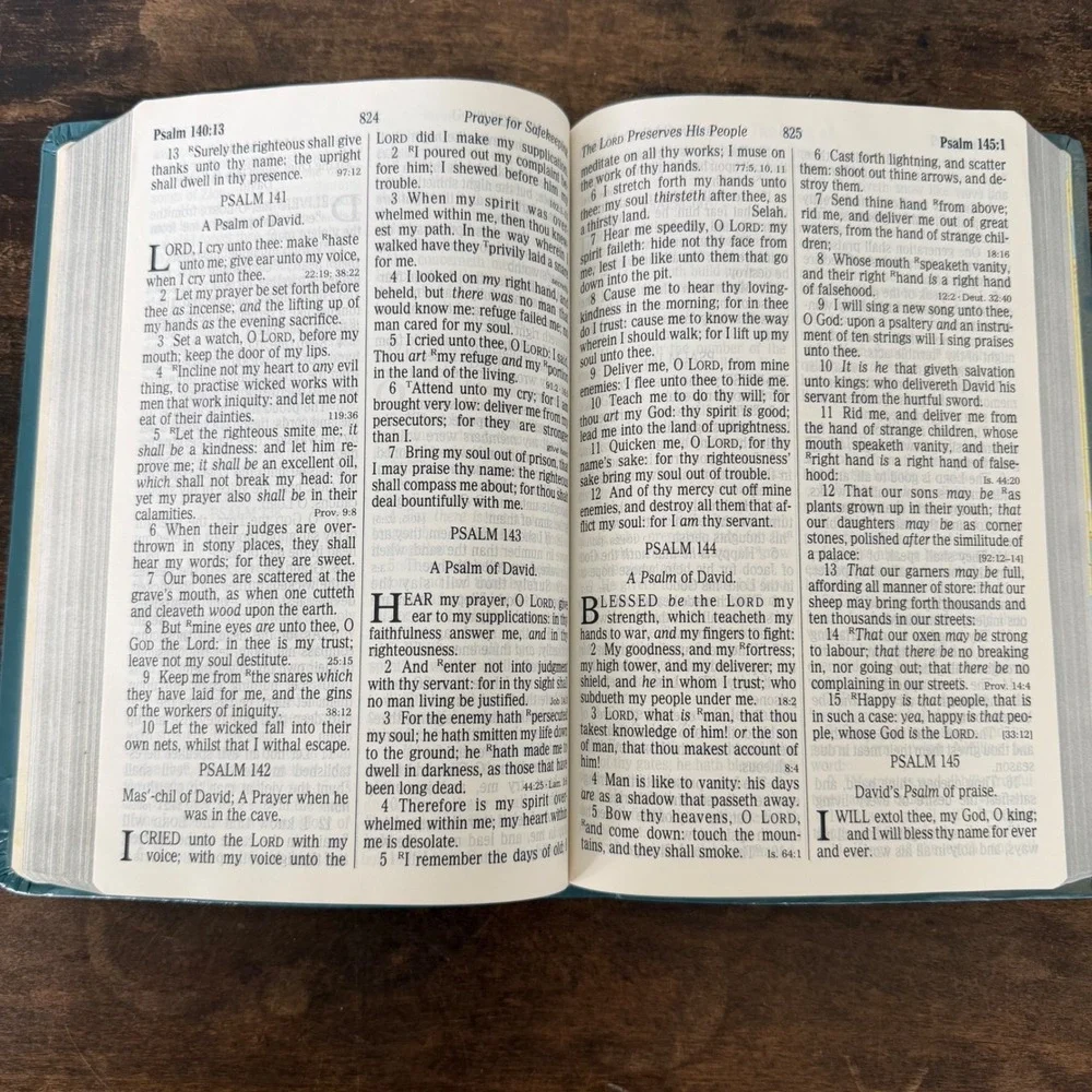 Nelson Regency Blue Holy Bible KJV Giant Print Red Letter 1990 Concordance VTG